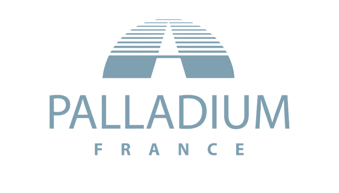 Logo Palladium France Grey Palladium France